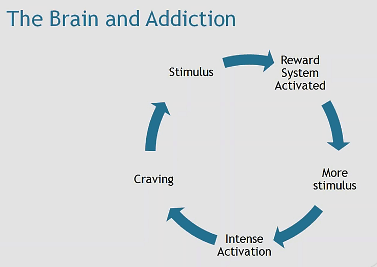How the brain leads us to gambling addiction