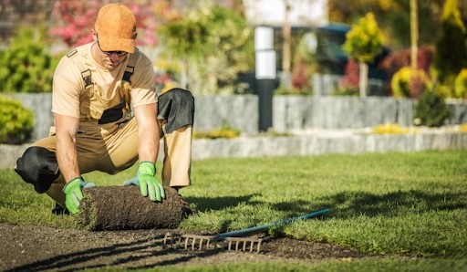 Turf Repair Services